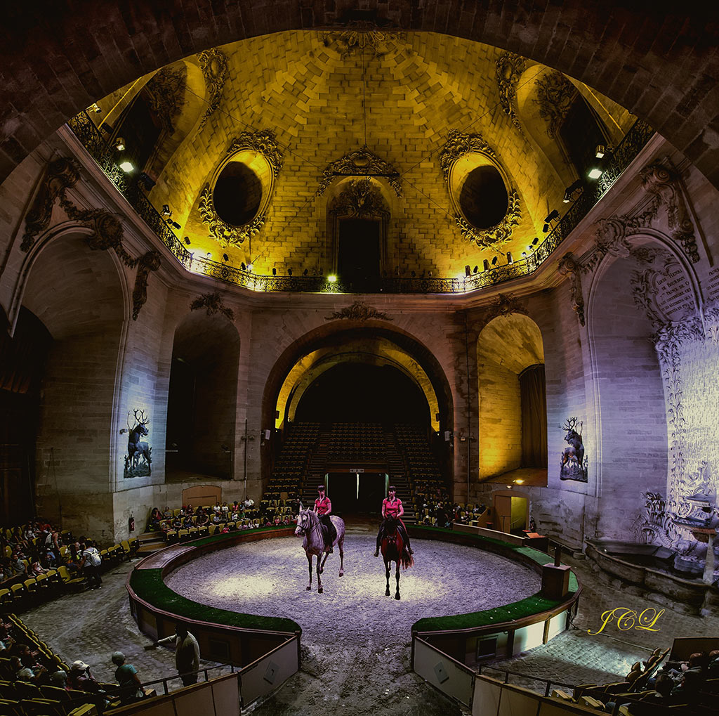 Démonstration de dressage dans la salle de spectacle du magnifique Musée du cheval de Chantilly restauré en 2013. 